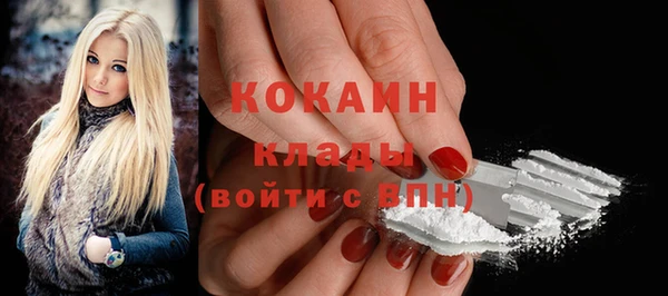 дмт Гусев