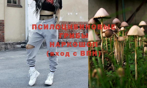 экстази Гусь-Хрустальный
