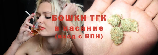 экстази Гусь-Хрустальный