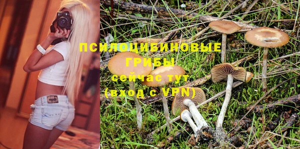 экстази Гусь-Хрустальный
