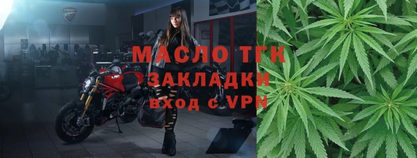дмт Гусев