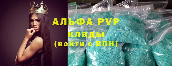 дмт Гусев