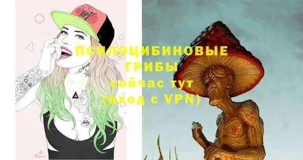 соль ск Горнозаводск